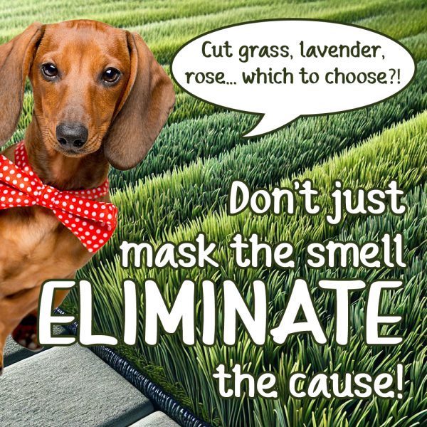 Fresh Pet Ammonaway Artificial Grass Cleaner - Image 11