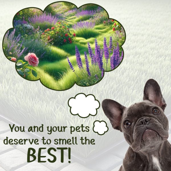Fresh Pet Ammonaway Artificial Grass Cleaner - Image 9
