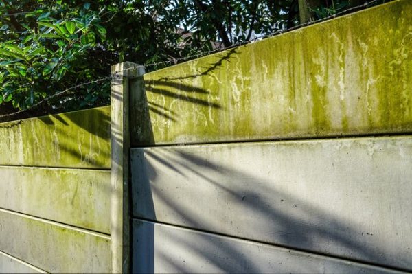Relancer Algae & Green Mould Remover - Image 2